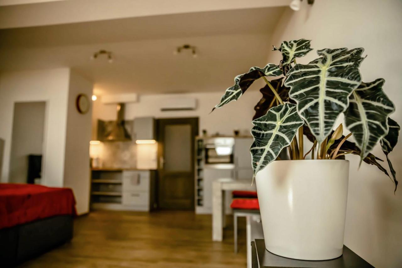 Podkrovni Studio Na Velkem Namesti S Wi-Fi Zdarma Hradec Králové Dış mekan fotoğraf